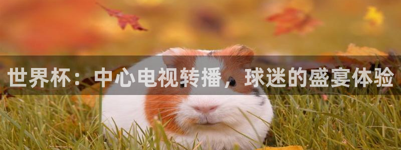 世界杯预选赛规则:世界杯:中心电视转播,球迷的盛宴体验