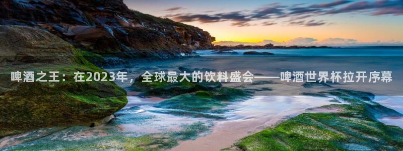 世界杯亚洲区预选赛：啤酒之王：在2023年，全球最大的饮料盛会——啤酒世界杯拉开序幕