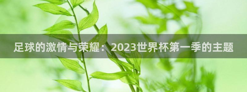 世界杯对阵图2026:足球的激情与荣耀:2023世界杯第一季的主题