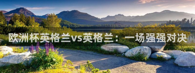 世界杯预选赛赛程：欧洲杯英格兰vs英格兰：一场强强对决