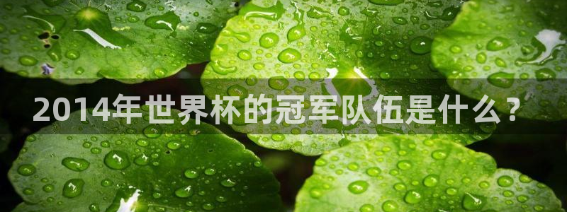 世界杯预选赛：2014年世界杯的冠军队伍是什么？