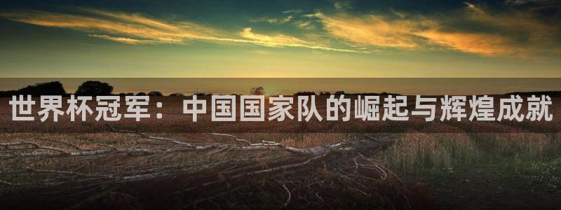 世界杯足球比赛：世界杯冠军：中国国家队的崛起与辉煌成就