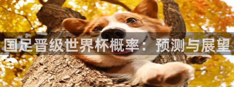 世界杯预选赛欧洲区赛程：国足晋级世界杯概率：预测与展望