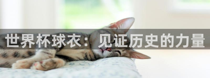 世界杯系列赛：世界杯球衣：见证历史的力量