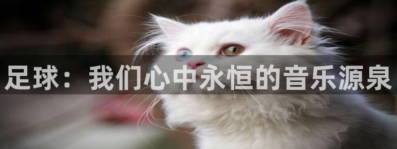 足球世界杯2026：足球：我们心中永恒的音乐源泉