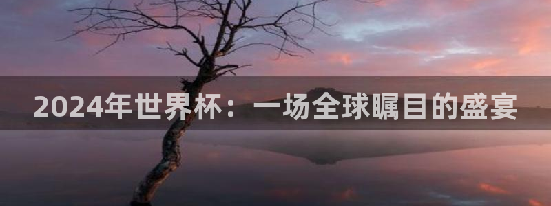 世界杯足球赛2026赛程时间：2024年世界杯：一场全球瞩目的盛宴
