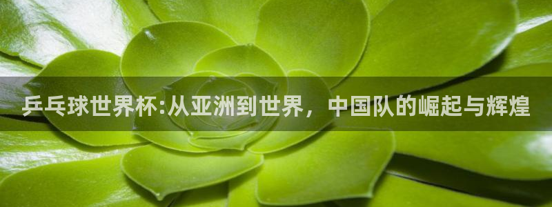 足球世预赛：乒乓球世界杯:从亚洲到世界，中国队的崛起与辉煌