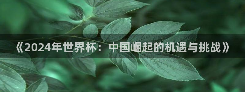 世界杯对阵表：《2024年世界杯：中国崛起的机遇与挑战》