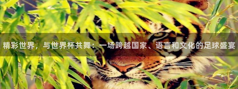 亚洲区世界杯预选赛：精彩世界，与世界杯共舞：一场跨越国家、语言和文化的足球盛宴