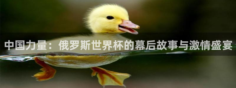 世界杯预选赛2026：中国力量：俄罗斯世界杯的幕后故事与激情盛宴