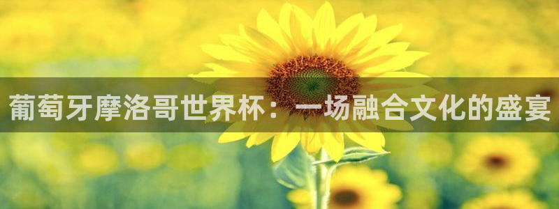 世界杯系列赛：葡萄牙摩洛哥世界杯：一场融合文化的盛宴