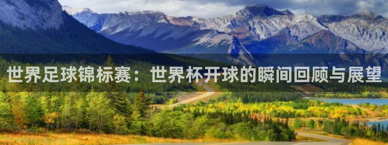 世界杯足球比赛：世界足球锦标赛：世界杯开球的瞬间回顾与展望